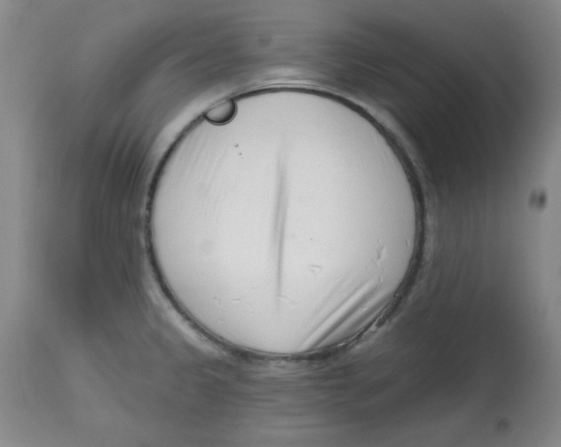 X0000113741333200910211116