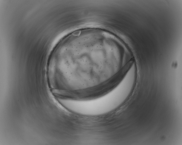 X0000113741334200910211116