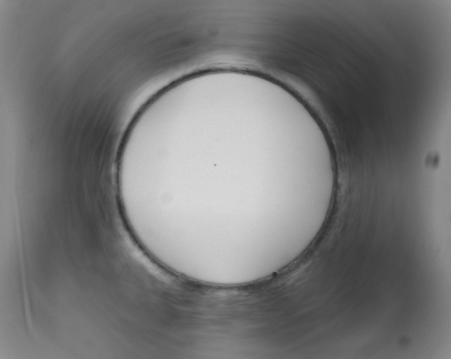 X0000113741335200910211116