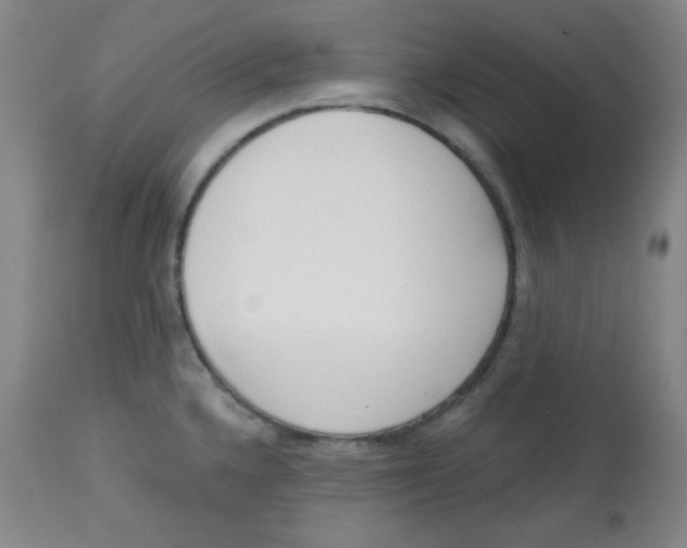 X0000113741336200910211116
