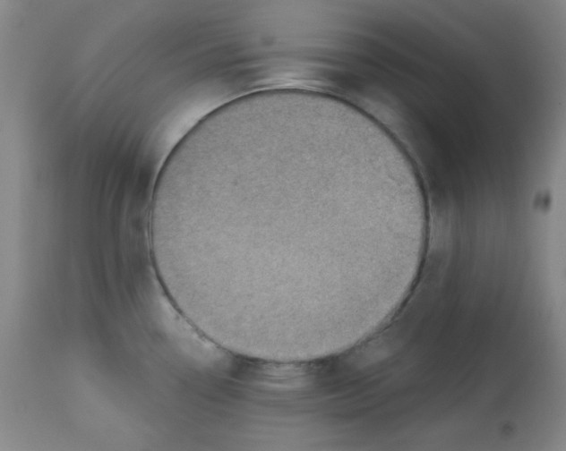 X0000113741338200910211116
