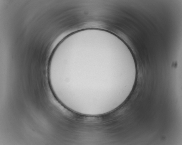 X0000113741339200910211116