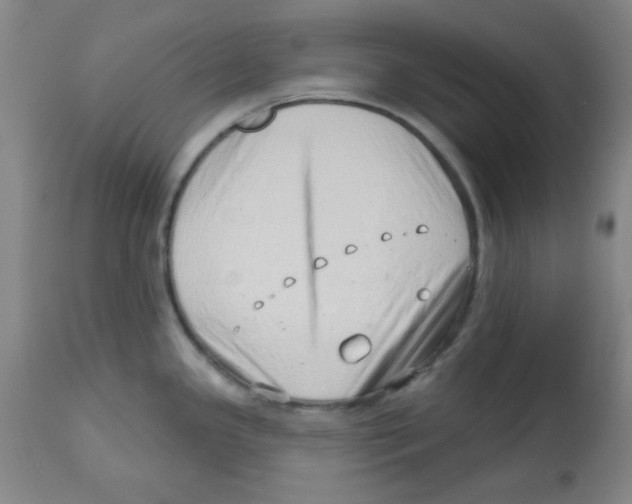 X0000113741341200910211116