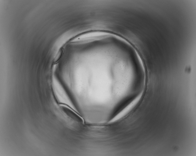 X0000113741342200910211116