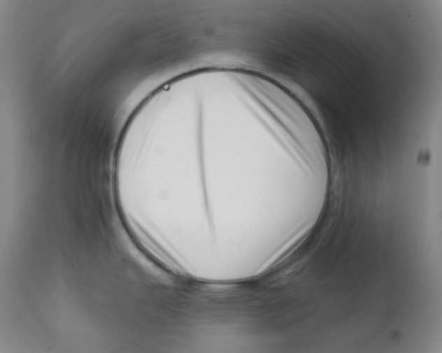 X0000113741343200910211116
