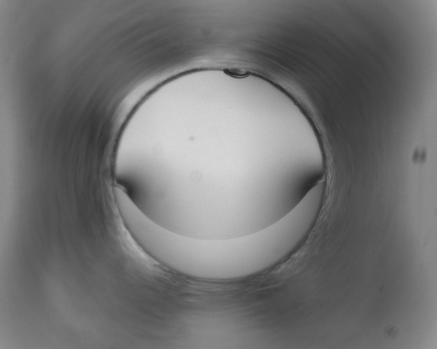 X0000113741344200910211116