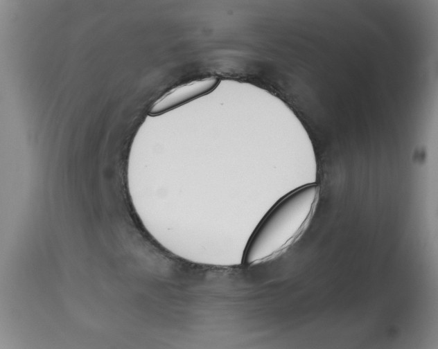 X0000113741345200910211116