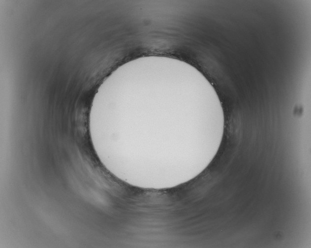 X0000113741346200910211116