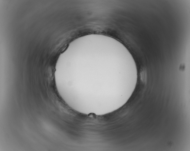 X0000113741347200910211116