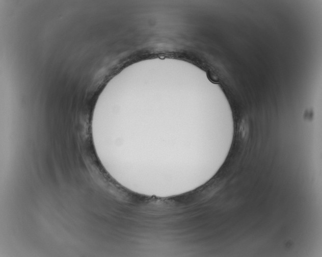 X0000113741348200910211115