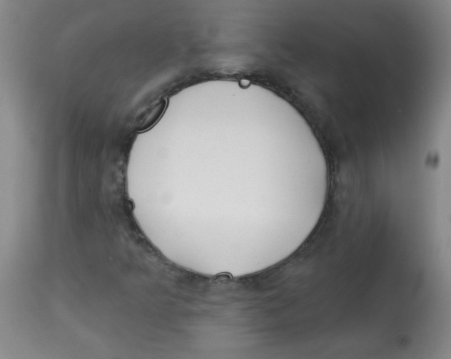 X0000113741349200910211115
