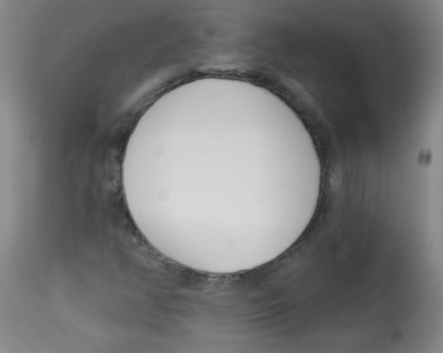 X0000113741350200910211115