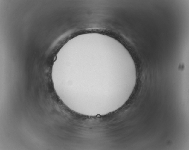 X0000113741351200910211115