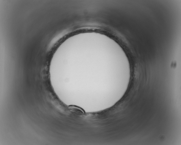 X0000113741352200910211115