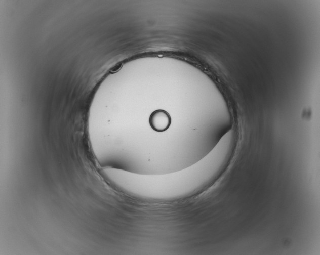 X0000113741353200910211115