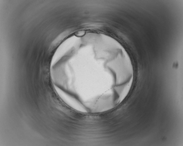 X0000113741354200910211115