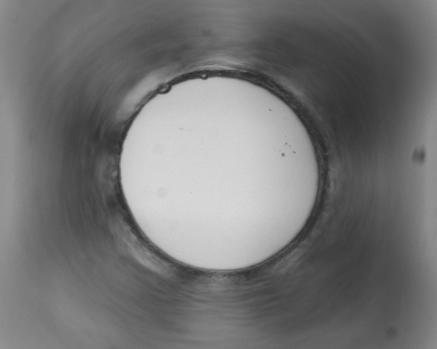 X0000113741355200910211115