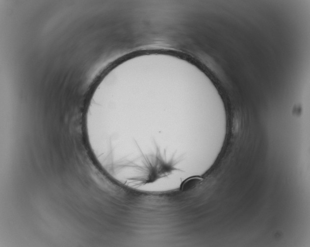 X0000113741356200910211115