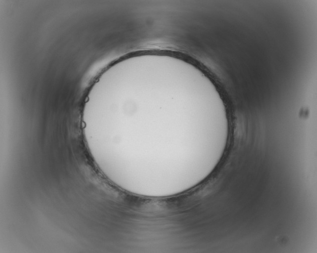 X0000113741358200910211115