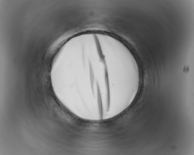 X0000113741359200910211115