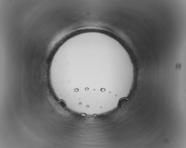 X0000113741360200910211115