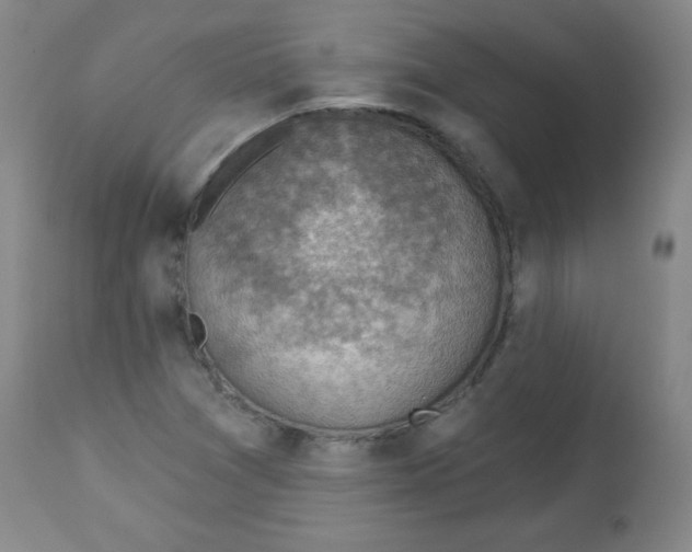 X0000113741361200910211115