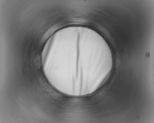 X0000113741362200910211115
