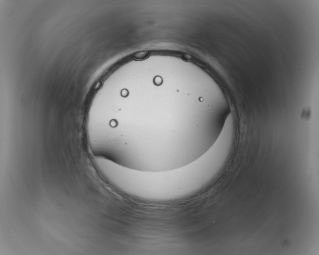 X0000113741364200910211115