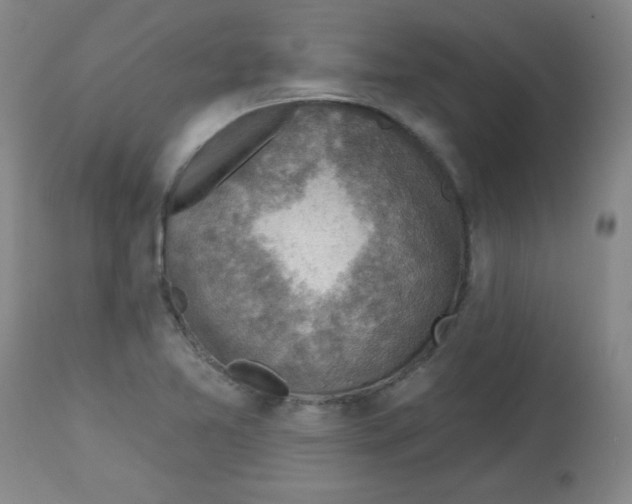 X0000113741365200910211115