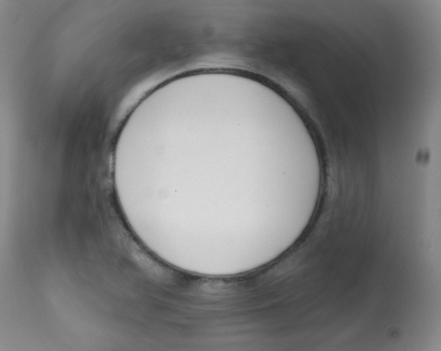 X0000113741366200910211115