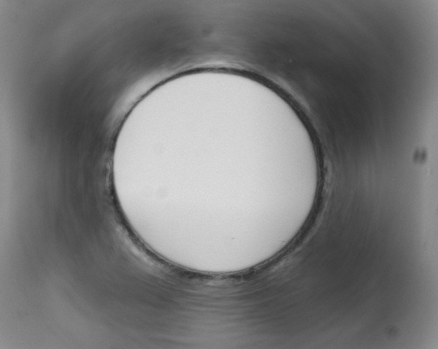 X0000113741367200910211115