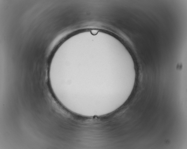 X0000113741368200910211115