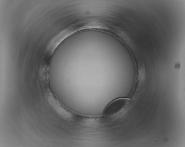 X0000113741369200910211115