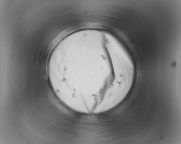 X0000113741370200910211115