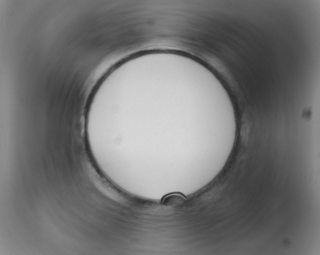 X0000113741372200910211115