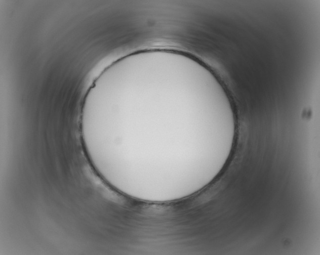 X0000113741374200910211115