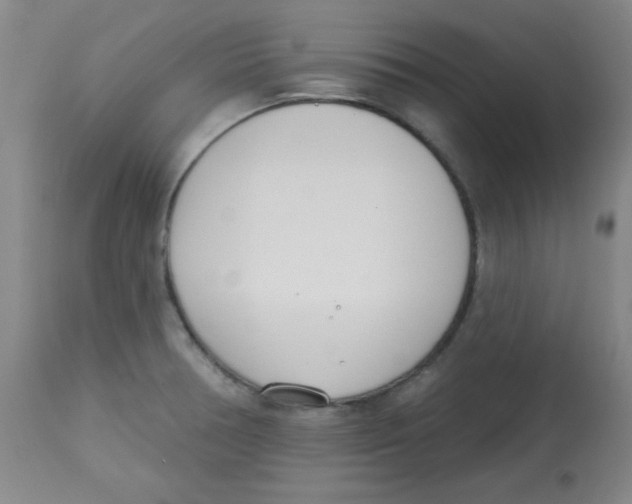 X0000113741378200910211115