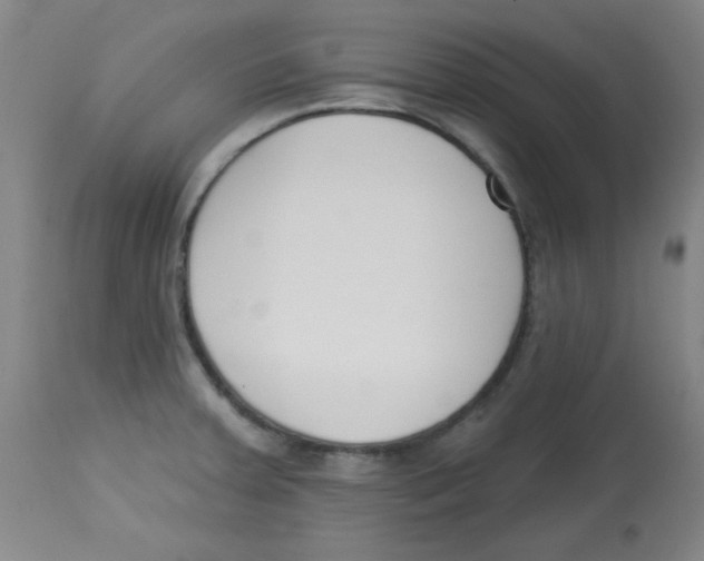 X0000113741379200910211115