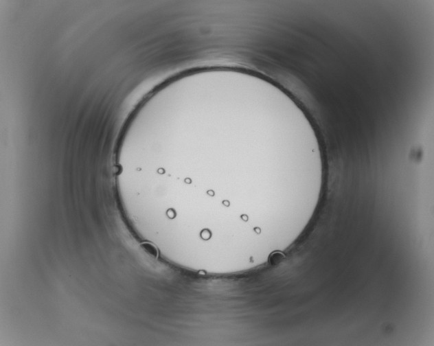 X0000113741380200910211115