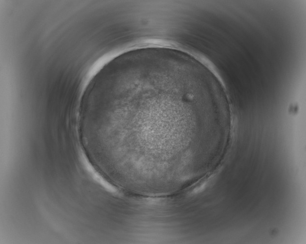 X0000113741381200910211115