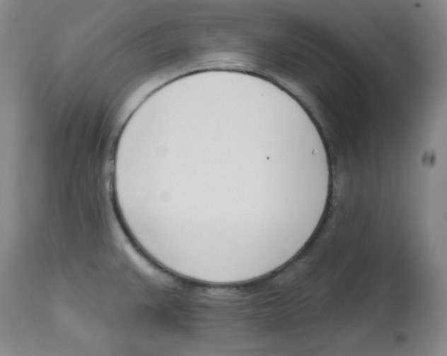 X0000113741383200910211115