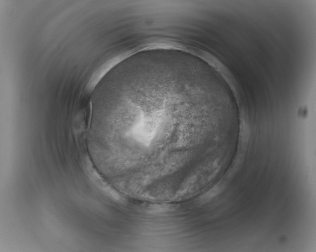 X0000113741385200910211115