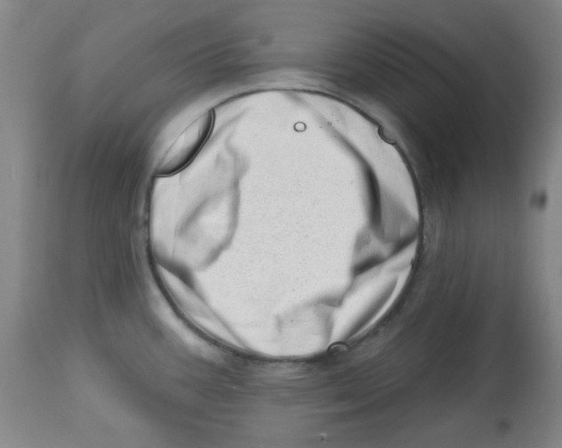 X0000113741387200910211115