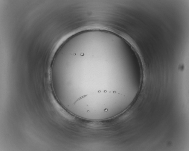 X0000113741388200910211115