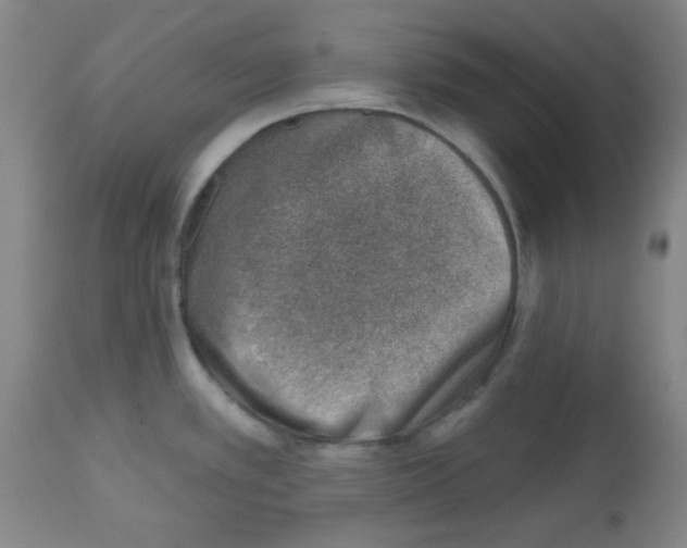 X0000113741389200910211115
