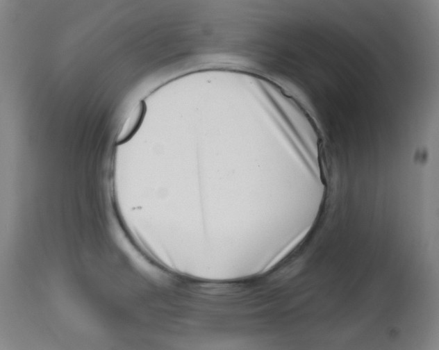 X0000113741391200910211115