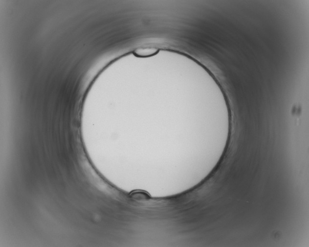 X0000113741392200910211115