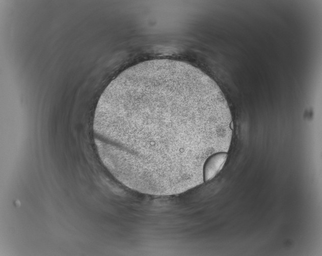 X0000113741393200910211114