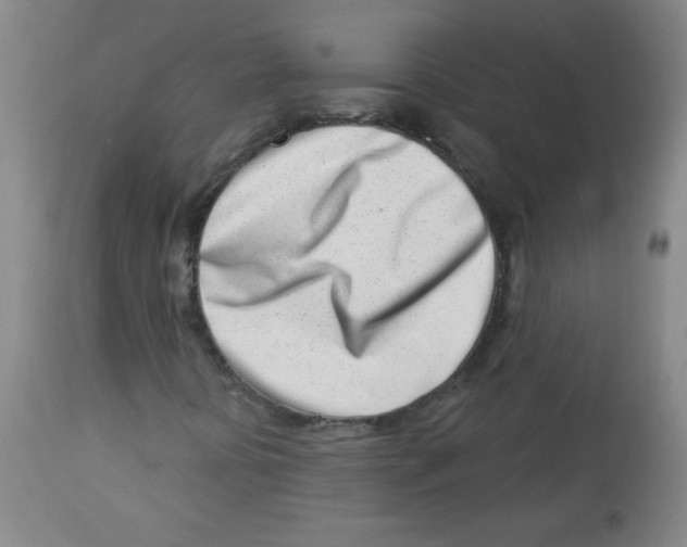 X0000113741394200910211114