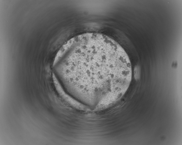 X0000113741395200910211114